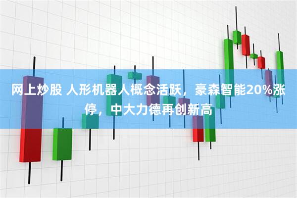 网上炒股 人形机器人概念活跃，豪森智能20%涨停，中大力德再创新高