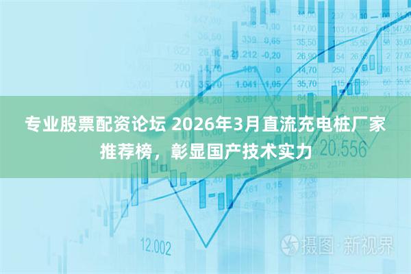 专业股票配资论坛 2026年3月直流充电桩厂家推荐榜，彰显国产技术实力